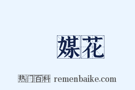 風媒花是什么意思的图片
